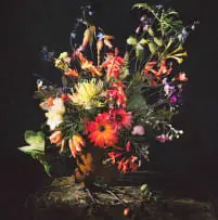 Andrew Putter, Detail of a Sketch for Flora Capensis, 2008, archival pigment inks on 300g cotton rag paper