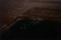 Herman Potgieter, Aerial View of a Flock of Birds over a Farm Landscape, photographic print on paper laid down on board