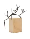 Lynette ten Krooden, Thorn