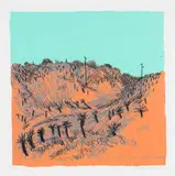 Conrad Botes, Aalwyne naby Infanta (Aloes near Infanta), 2012, colour screenprint on paper