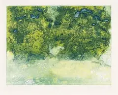 Sue Williamson, Hedgerow, 1975, multi-plate intaglio print on paper