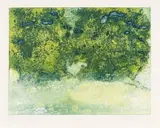 Sue Williamson, Hedgerow, 1975, multi-plate intaglio print on paper