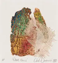 Christiaan Diedericks, Desert Flowers, 1990, etching on paper