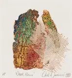 Christiaan Diedericks, Desert Flowers, 1990, etching on paper