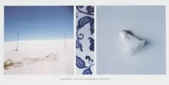 Lien Botha, Amendment 3: The Case of Going Dutch in the Desert, 2006, archival inkjet print on cotton paper