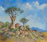 Conrad Theys, Quivertrees, Kokerbome, Namakwaland