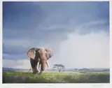 Ignatius Marx, Tusker
