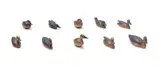 David Tomlinson, A Bronze Collection of Ducks of Southern Africa, ten, bronze with a dark brown patina, in a wooden, fabric-fabric lined box