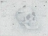 Gerhard Marx, Moving Skies, 2007, screenprint and photolithograph on paper