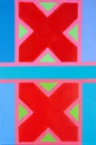 Trevor Coleman, Red X