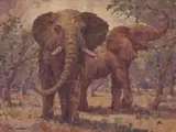 Nils Andersen, Pair of Elephants, oil on board