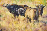 Three Buffalo by Zakkie Eloff, oil on canvas laid down on board, offered Apr 2026