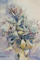 Proteas by Ulrich Schwanecke, 1965, watercolour on paper, offered Apr 2026
