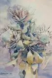 Ulrich Schwanecke, Proteas