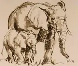 Hennie Niemann jnr, Elephant Mother and Calf