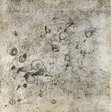 Richard Forbes, Quiet Revolution, 2006, etching on paper
