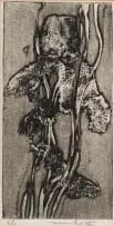Dirk Meerkotter, Iris, etching on paper
