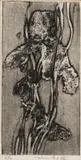 Dirk Meerkotter, Iris, etching on paper