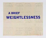 William Kentridge, A Brief Weightlessness