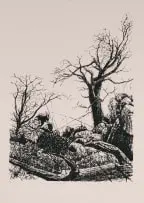 Tshava ya dzimbauyeka by Phillemon Hlungwani, 2007, screenprint on paper, sold Apr 2026