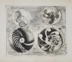 Braam Kruger, Perpetual Motion Wheel, 1978, etching on paper