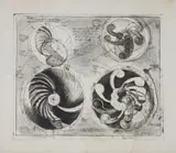 Braam Kruger, Perpetual Motion Wheel, 1978, etching on paper