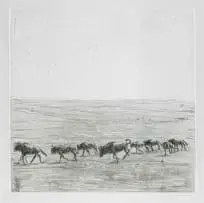 Etosha by Zakkie Eloff, etching with embossing on paper, sold Apr 2026
