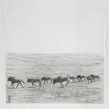 Zakkie Eloff, Etosha, etching with embossing on paper