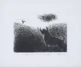 Braam Kruger, Ontgroening van Carl Ziervogel, 1977, etching