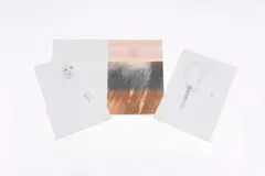 Resonances by Judith Mason, 1985, photolithograph on paper, offered Apr 2026