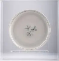 White platter with blue flower motif by Esias Bosch, porcelain with white glaze and cobalt decoration, sold Jan 2026