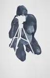 Christine Dixie, Capture, 2007, etching and embossing on paper