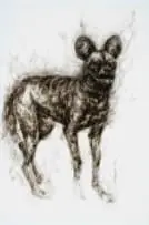 Threatened Lives (Cape Hunting Dog) by Diane Victor, 2020, candle smoke on paper, offered Dec 2025