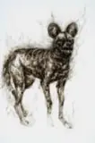 Diane Victor, Threatened Lives (Cape Hunting Dog), 2020, candle smoke on paper
