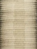 Cathy Abraham, Sepia Shadow Ghost, 2024, oil on Fabriano