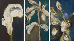 Bronwen Findlay, Lily Series, three, 2013, oil on canvas