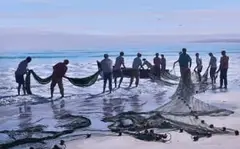 Paddy Starling, Fishermen on the Shoreline, oil on canvas