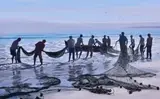Paddy Starling, Fishermen on the Shoreline, oil on canvas