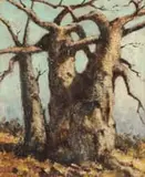 Otto Klar, Baobab Tree, oil on board