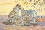 Zakkie Eloff, Cheetahs, oil on canvas