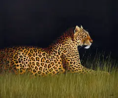 Michael Costello, Leopard, 2000, oil on canvas