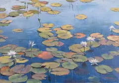 Paddy Starling, Water Lilies, oil on canvas