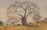 Erich Mayer, Landscape with Baobab Trees, watercolour on paper
