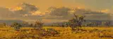 Otto Klar, Bushveld Landscape, oil on paper laid down on board