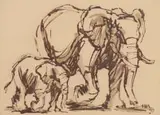 Hennie Niemann jnr, Elephants