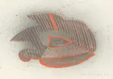 Christo Coetzee, Abstract Fish