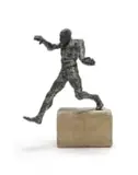 Stella Shawzin, Athlete in Motion