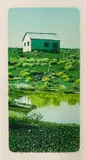 Joshua Miles, Tanqua Huisie (Tankwa House), 2012, woodcut on paper
