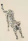William Kentridge, Untitled (Stretching Cheetah)