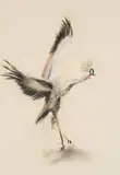 William Kentridge, Untitled (Grey Crowned Crane)